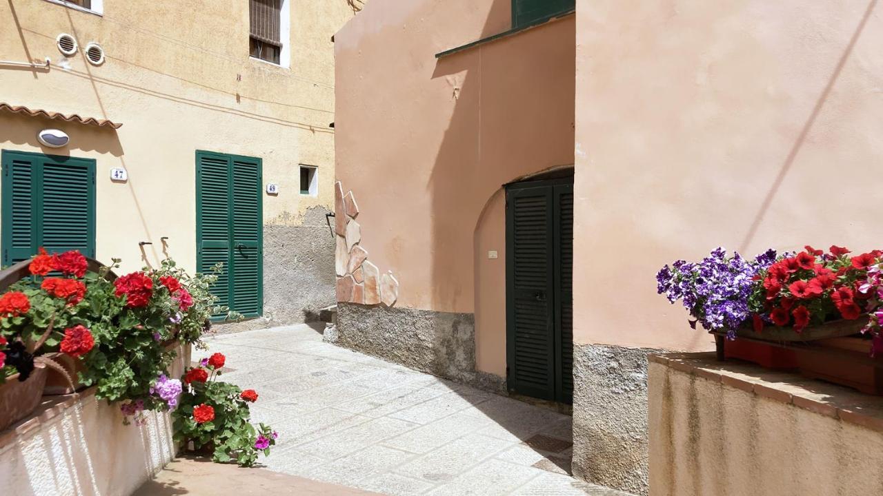 La Casa Di Rosa - Argonautivacanze Rio Marina Eksteriør bilde